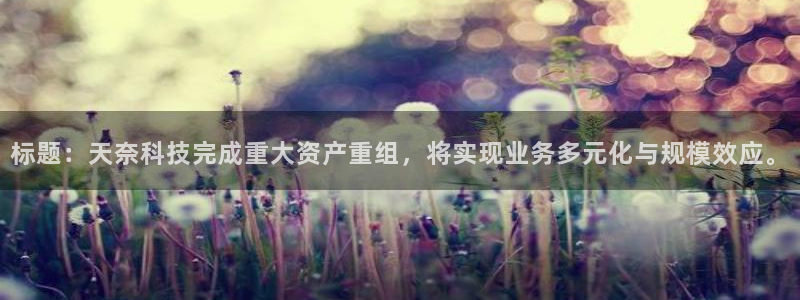 标题：天奈科技完成重大资产重组，将实现业务多元化与规模效应。